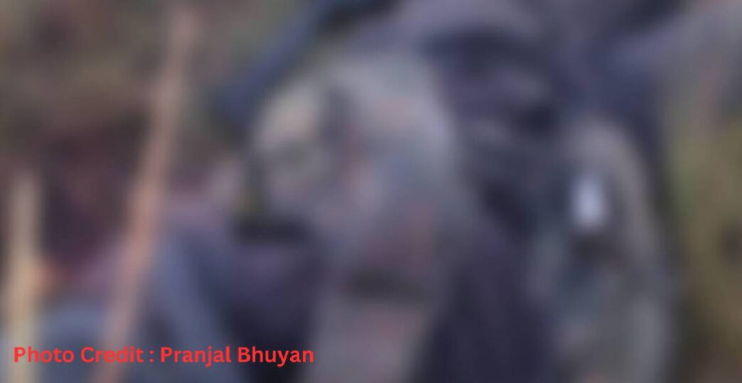 One ULFA (I) cadre killed in Namsai encounter; security forces launch massive search operation