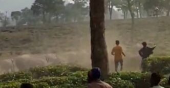 Government's ‘Gaja Mitra’ stalls, human–elephant conflict worsens near Kaziranga