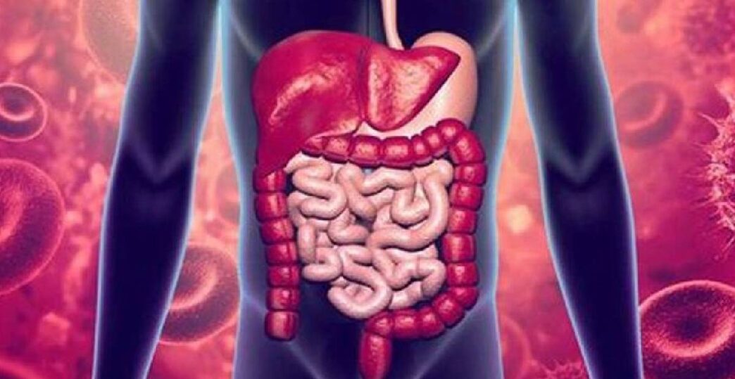 Gastroenteritis outbreak claims eight lives in Mizoram’s Southern districts