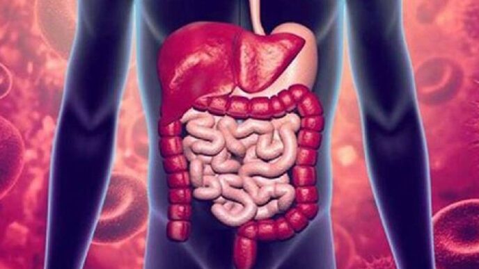 Gastroenteritis outbreak claims eight lives in Mizoram’s Southern districts