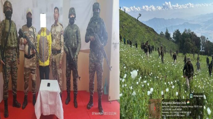 Security forces arrest PREPAK cadre, destroy large poppy cultivation in Manipur