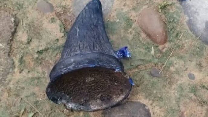 Rhino horn seized in Golaghat border village; one arrested
