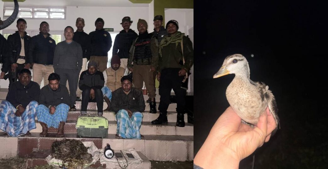 Five arrested for illegal hunting of wild birds at Bholakata Beel in Biswanath