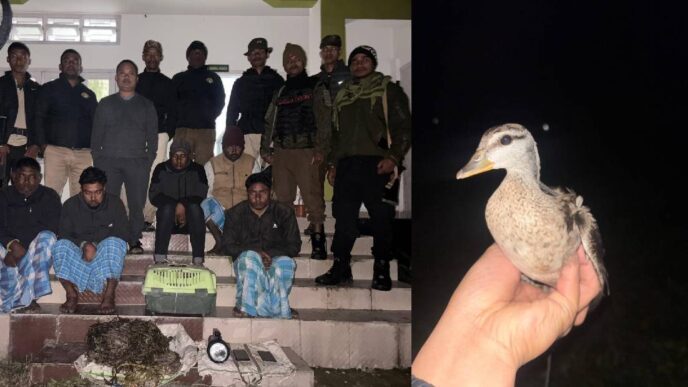 Five arrested for illegal hunting of wild birds at Bholakata Beel in Biswanath