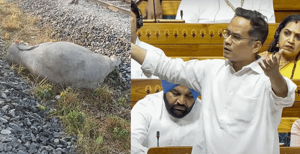 This is the cost of shrinking forests: Gaurav Gogoi slams govt over elephant deaths