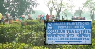 Kaliabor tea estate workers protest over Rs 33 crore in unpaid dues