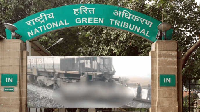 NGT demands replies after seven elephants killed in Rajdhani Express accident near Guwahati